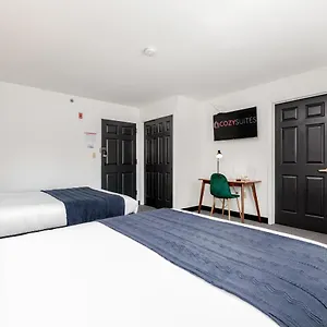 Cozysuites Cwe 2 Queen Bed Apartment